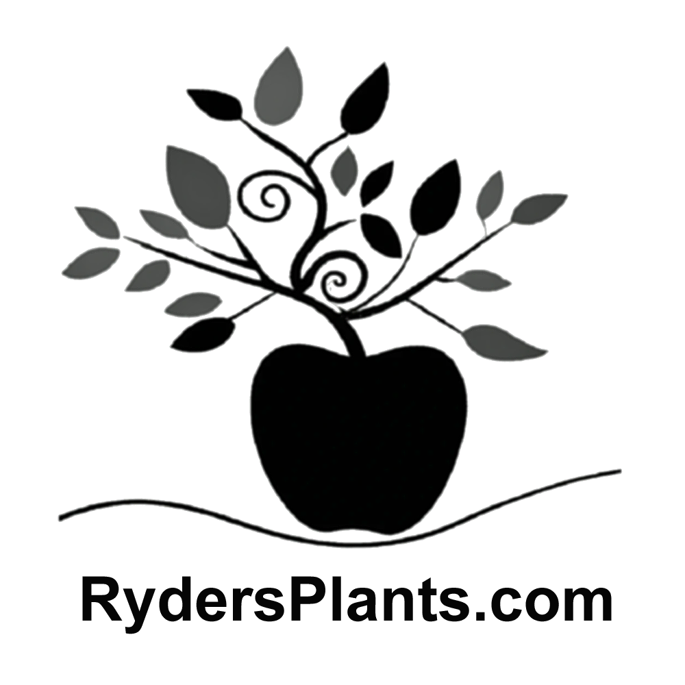 Ryder's Plants Store