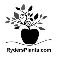 Ryders Plants logo